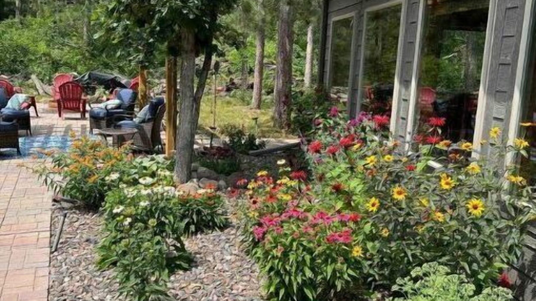 a group of people in a garden