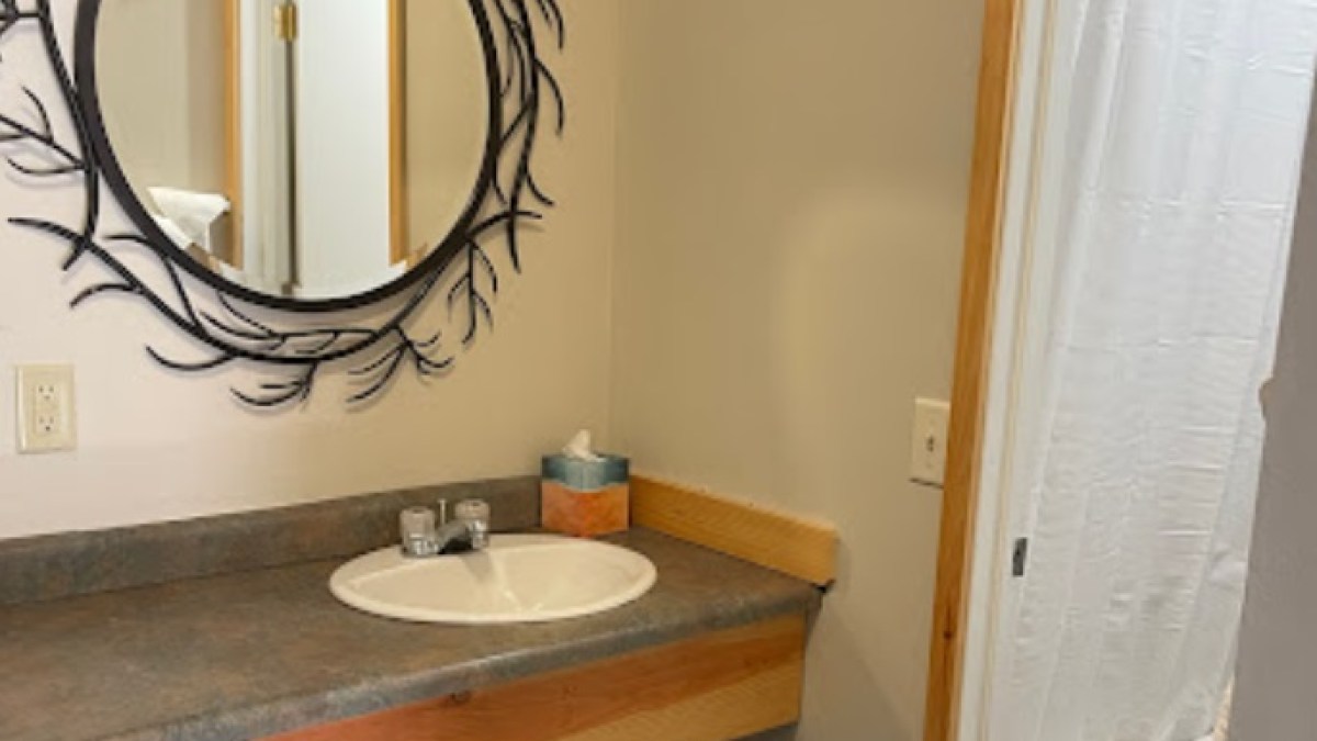 a sink and a mirror