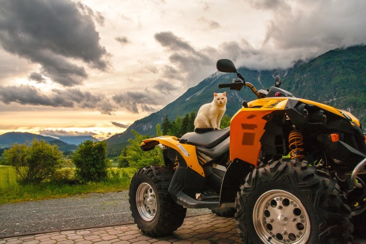 a motorcycle is parked on the side of a mountain