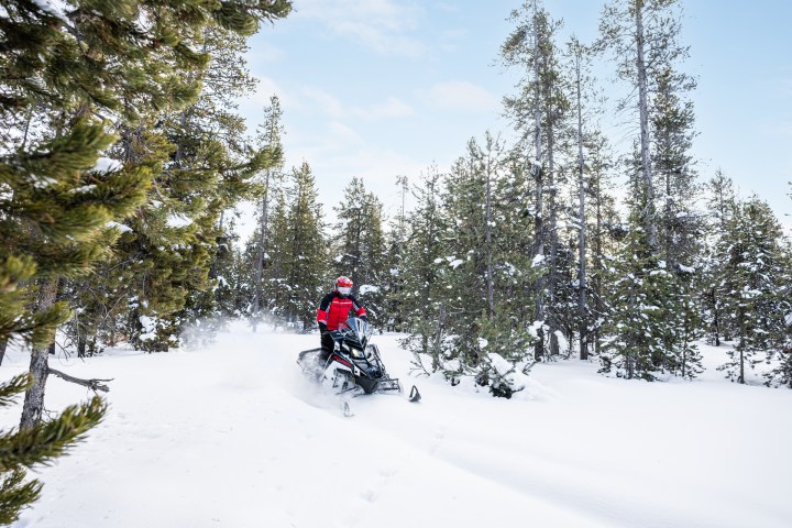 Person riding a snowmobile through a snowy forest with tall trees.
