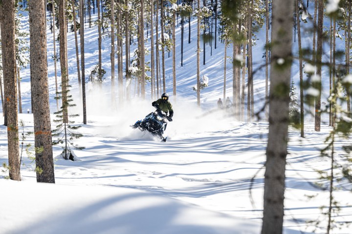 Person snowmobiling through a snowy forest with tall trees.