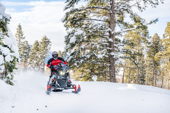 Person riding a snowmobile through a snowy forest path with tall pine trees.