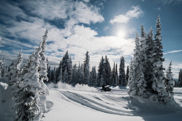 Snowy landscape with tall pine trees and a snowmobile under a bright sun and cloudy sky.