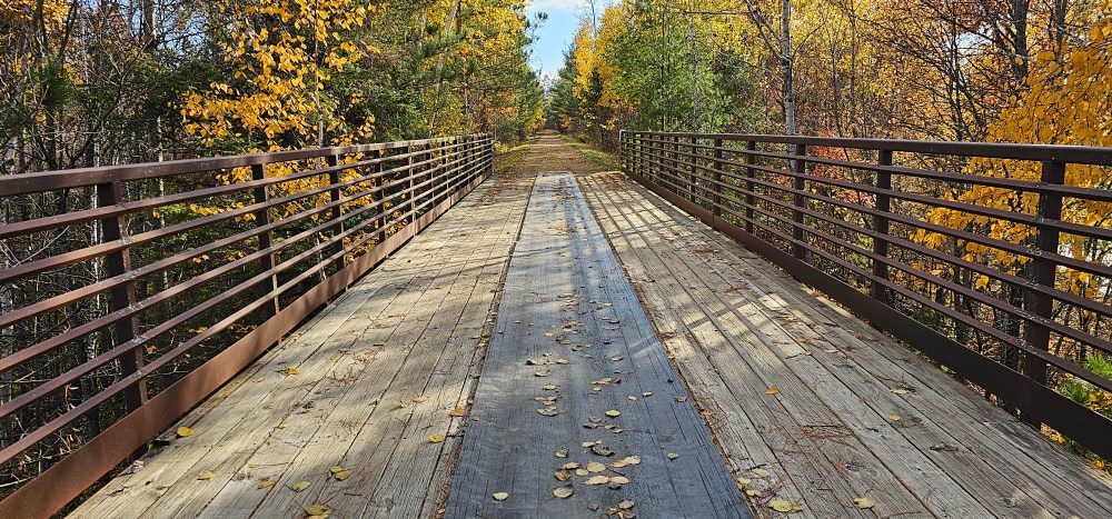 Wooden footbridge covered with fallen leaves, surrounded by autumn trees.